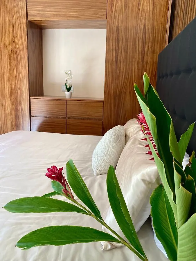 Apartman Areia Tulum - Departamentos Para Una Estancia Inolvidable Mexikó